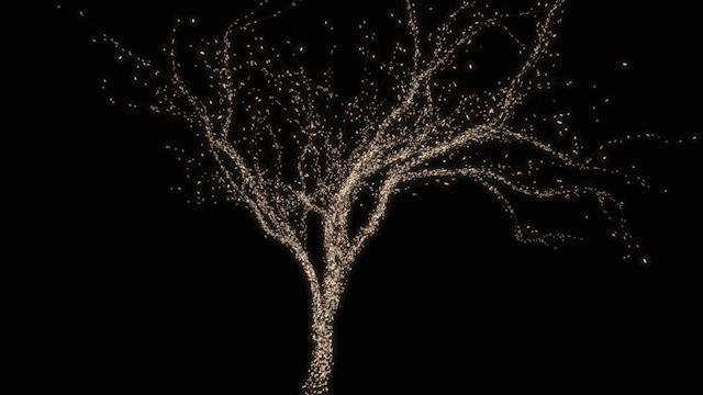 2017_01_26_firefly_tree